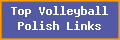 Top Volleyball Polish Links
